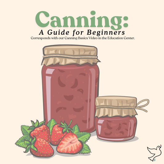 Canning: A Guide for Beginners