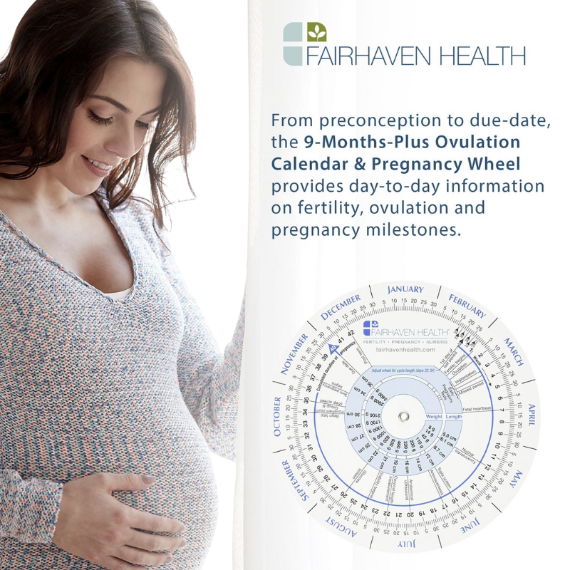 Ovulation Calendar and Pregnancy Wheel