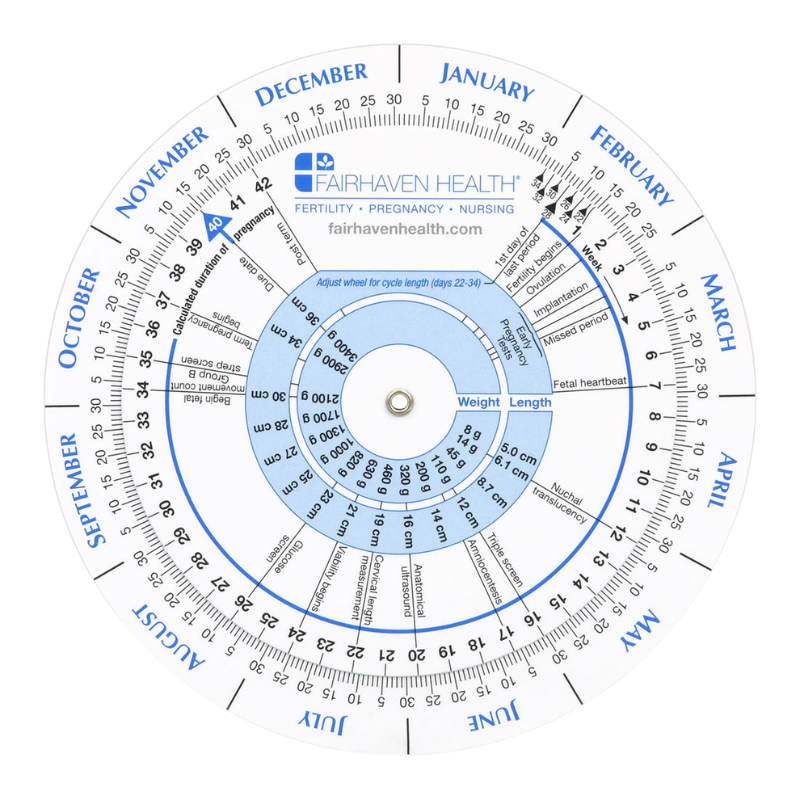 Ovulation Calendar and Pregnancy Wheel