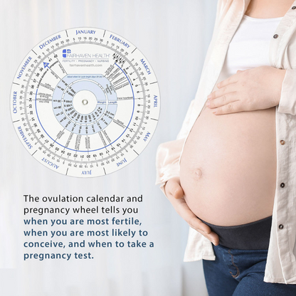 Ovulation Calendar and Pregnancy Wheel