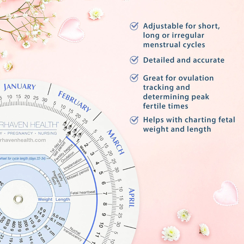 Ovulation Calendar and Pregnancy Wheel