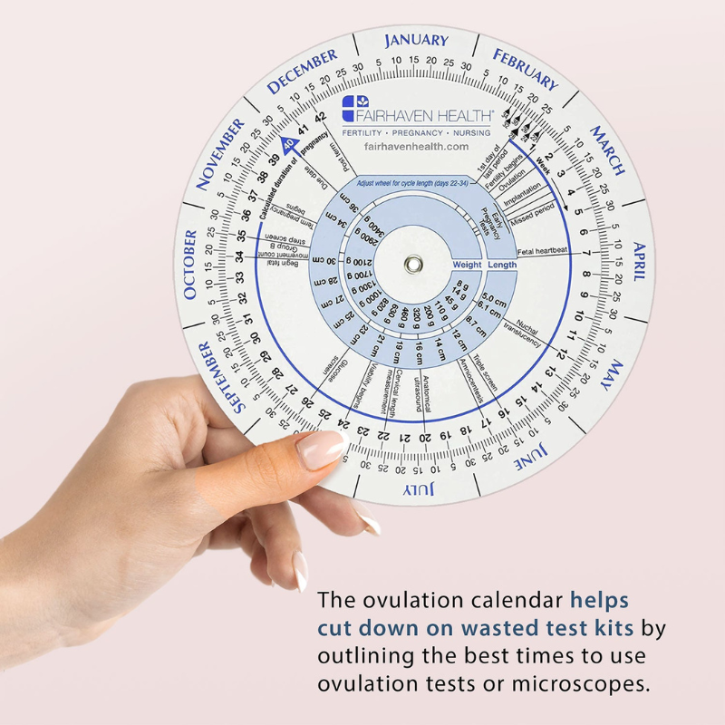 Ovulation Calendar and Pregnancy Wheel