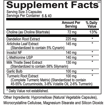 Detox Support Bundle - Vanilla