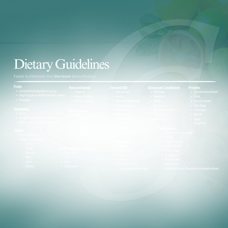 The Spring Detox Reset Handbook
